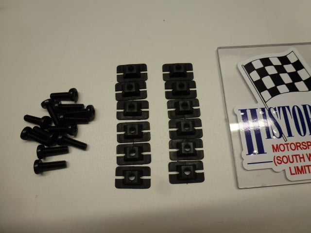 MK2 ESCORT, GRILL SCREW AND PLASTIC CLIP SET (12)